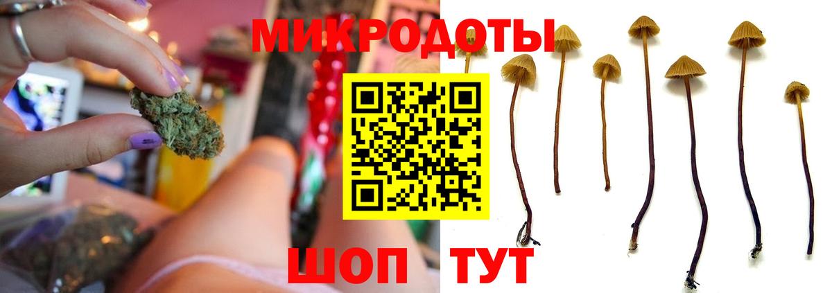 Галлюциногенные грибы прущие грибы Нижневартовск